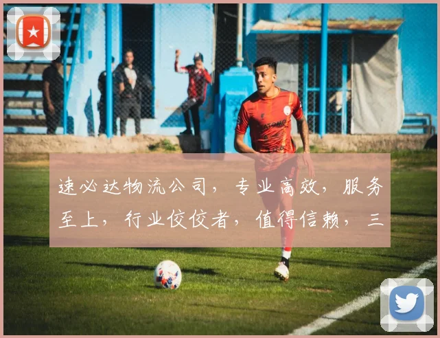 速必达物流公司，专业高效，服务至上，行业佼佼者，值得信赖，三网合一。