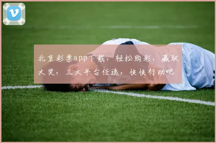 北京彩票app下载，轻松购彩，赢取大奖，三大平台任选，快快行动吧，惊喜不断