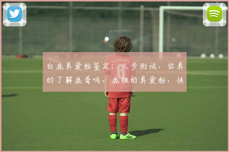 白鹿真爱粉鉴定：三步测试，你真的了解鹿哥吗，鹿姐的真爱粉，快来挑战吧