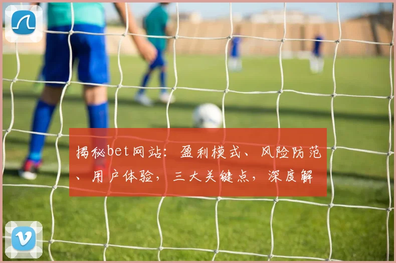 揭秘bet网站：盈利模式、风险防范、用户体验，三大关键点，深度解析